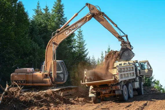 Casino Bonkers Bet Suporte